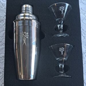 Silver Cocktail Shaker Set with Glasses